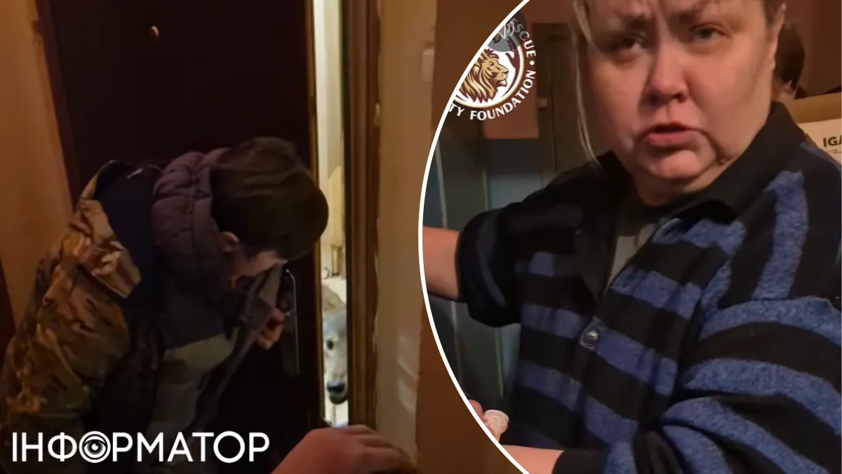 животные волк собаки жестокое обращение