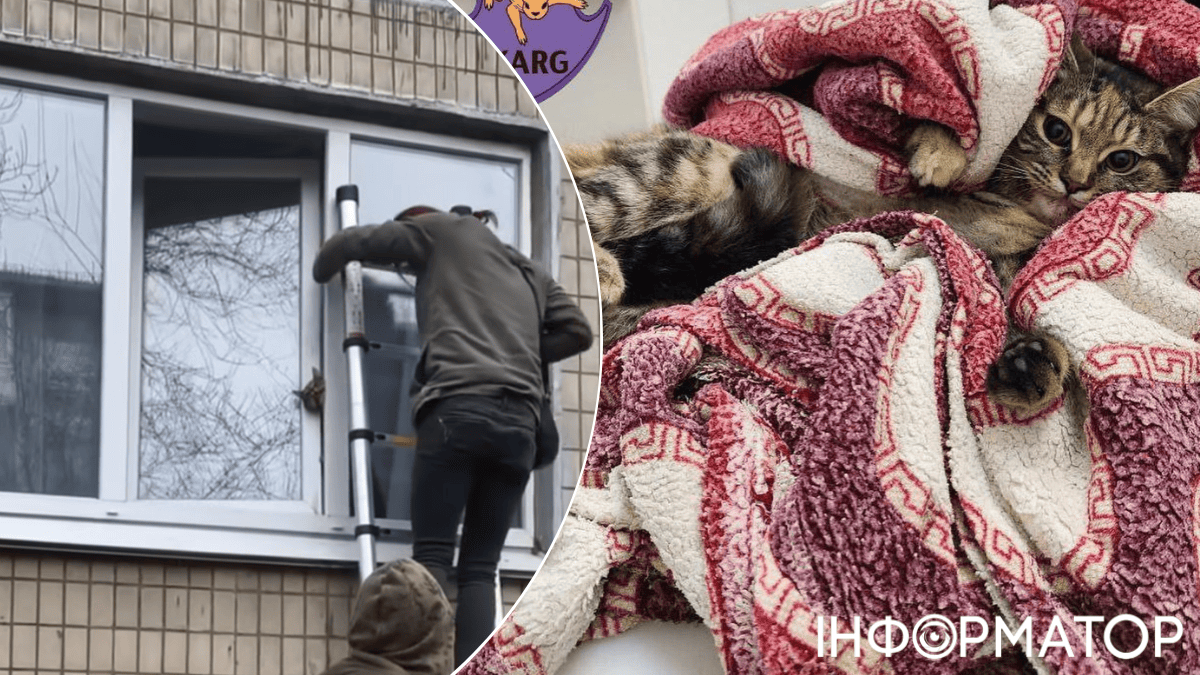 тварини коти кримінальна відповідальність порятунок