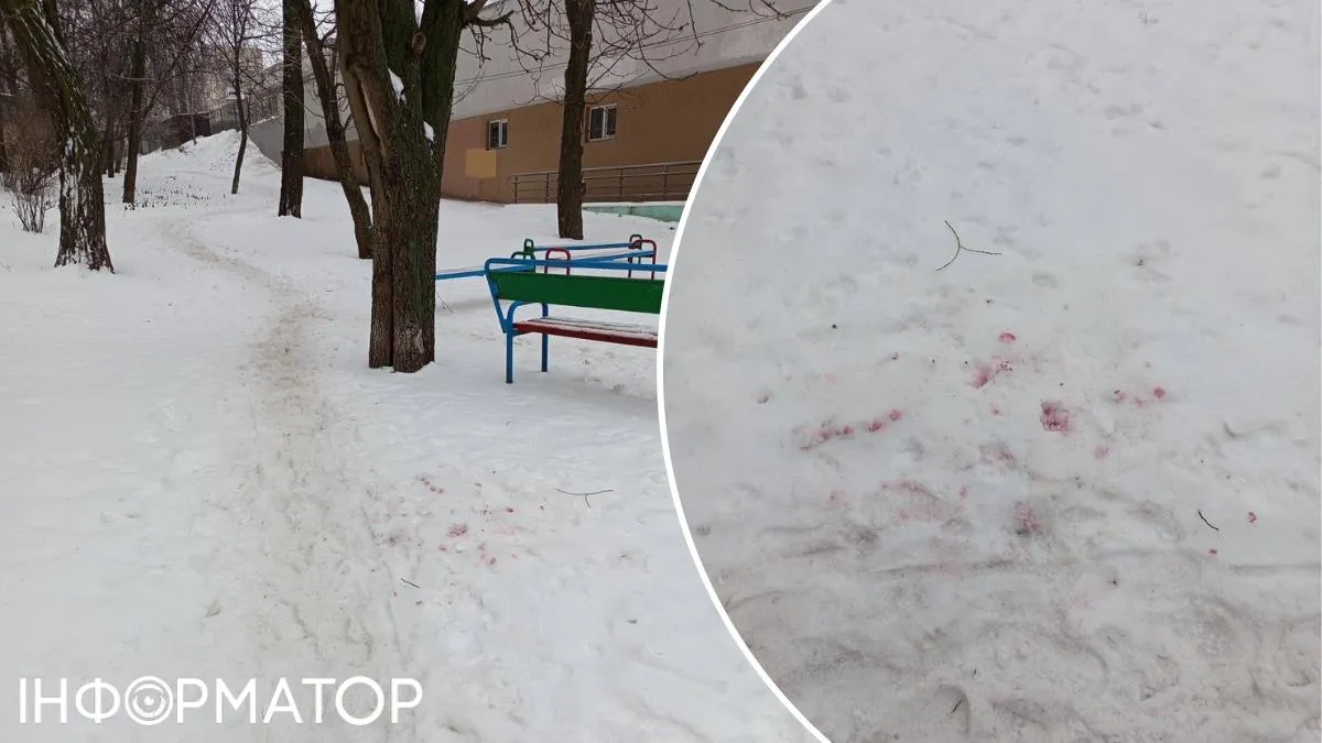 На Соломенке заметили розовый снег: в Киеве могут снова охотиться догхантеры
