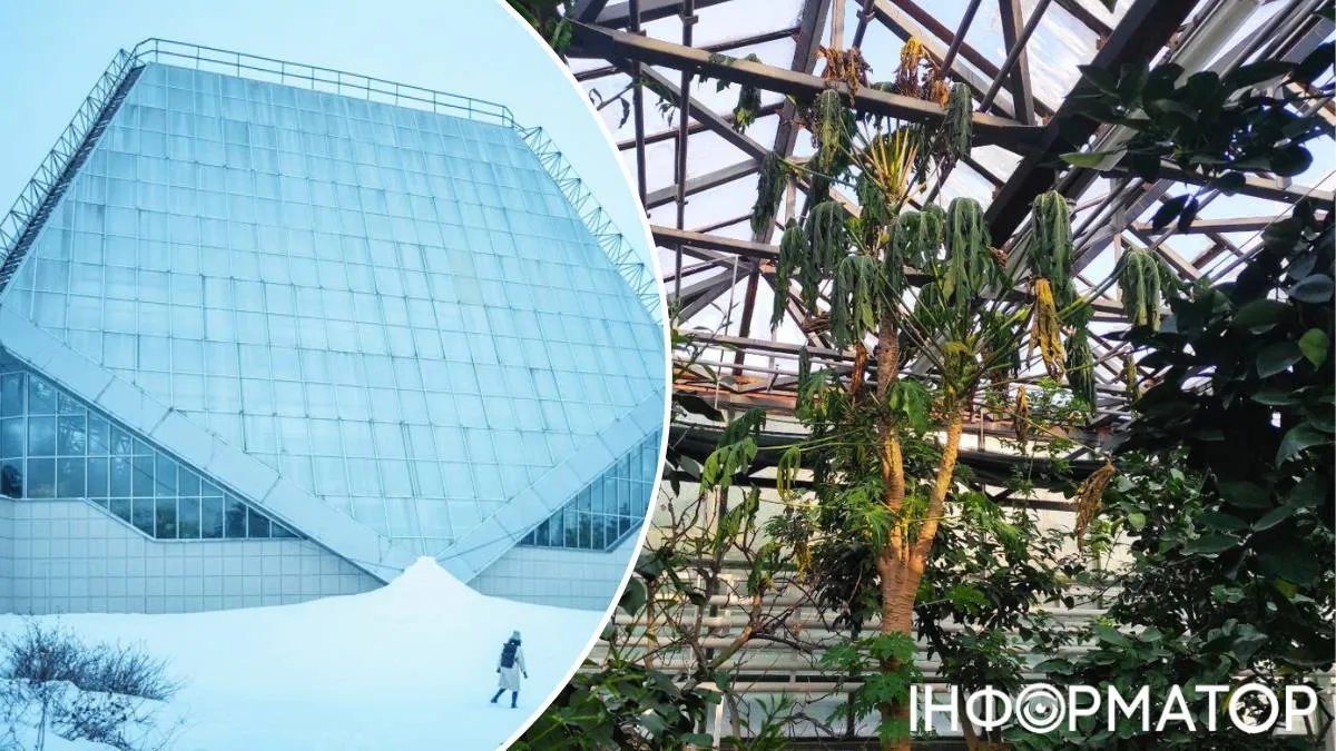 Ботсад відключення світла рослини