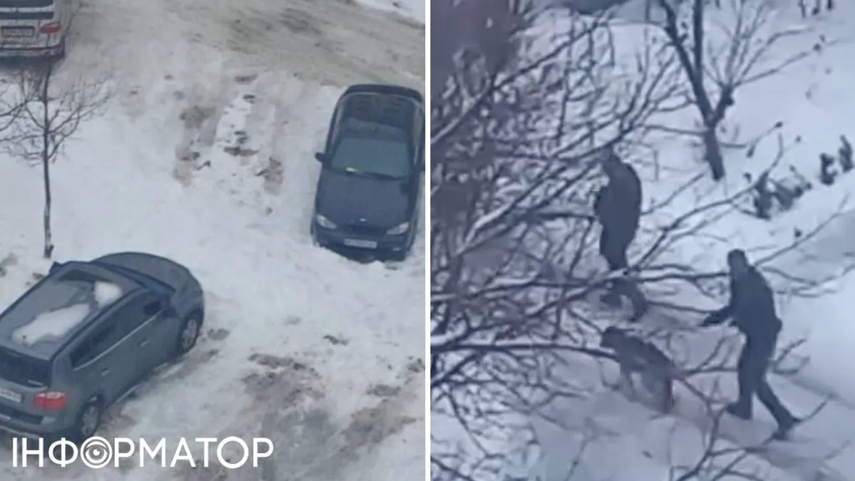 Поліцейські забрали собаку після нападу на дитину