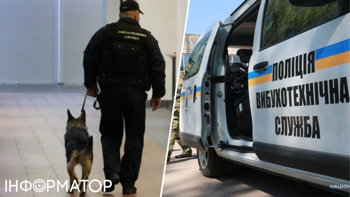 Вибухотехніки собаки