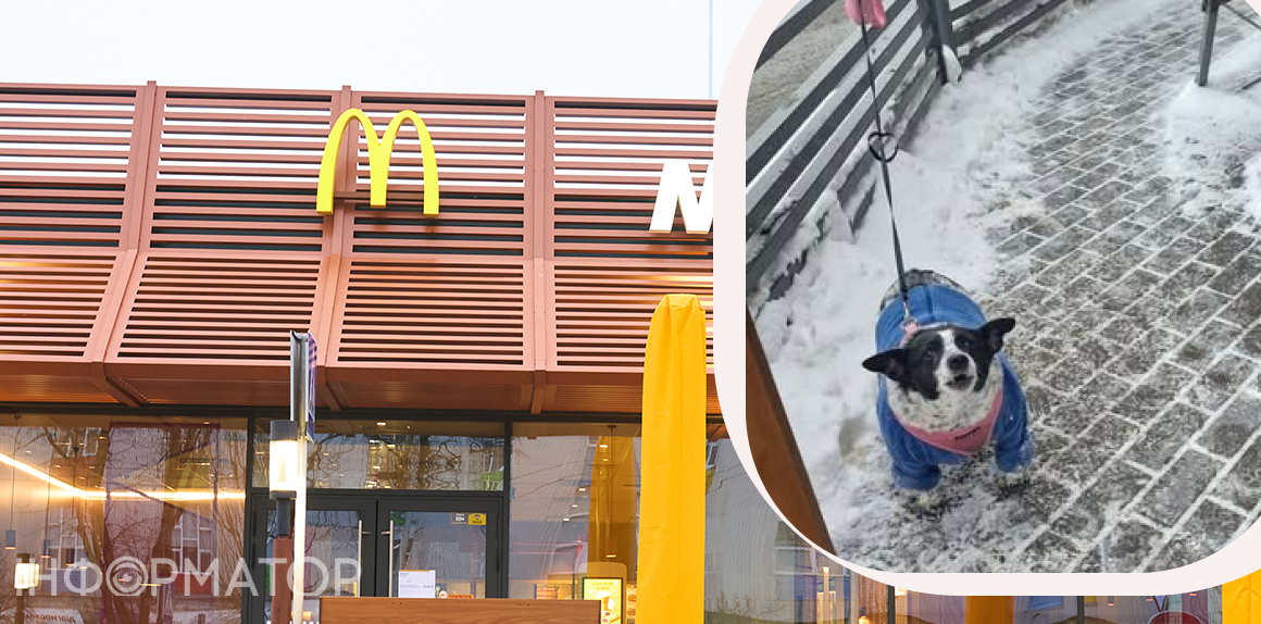 Прив'язали собаку біля McDonald’s і пішли по бургери: киян тригерить фото улюбленця на морозі