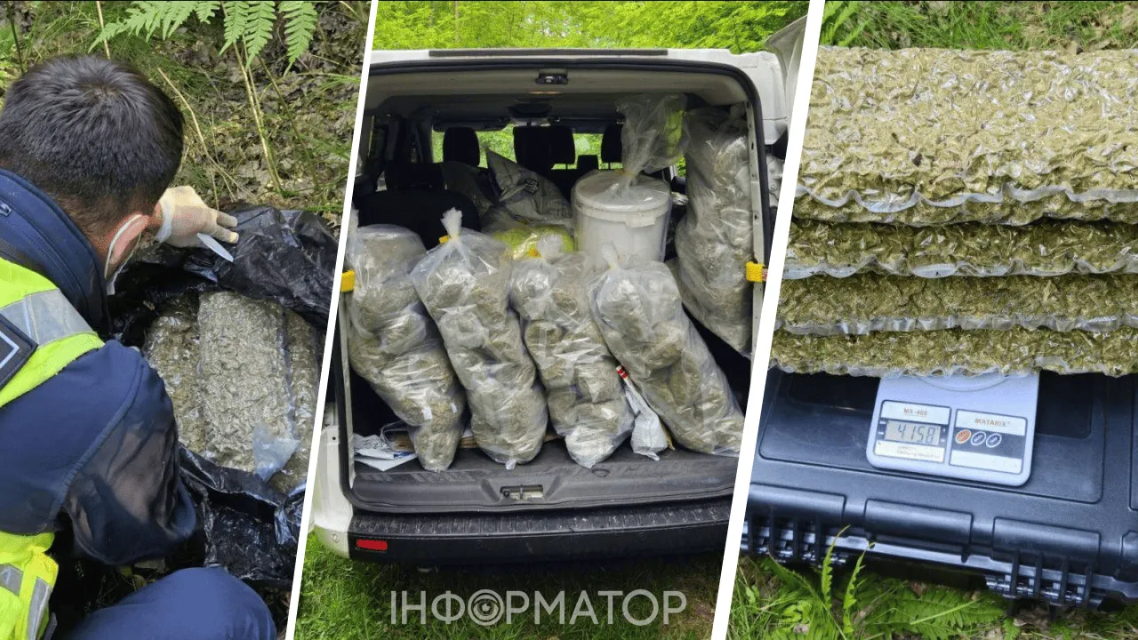 Канабіс наркотики