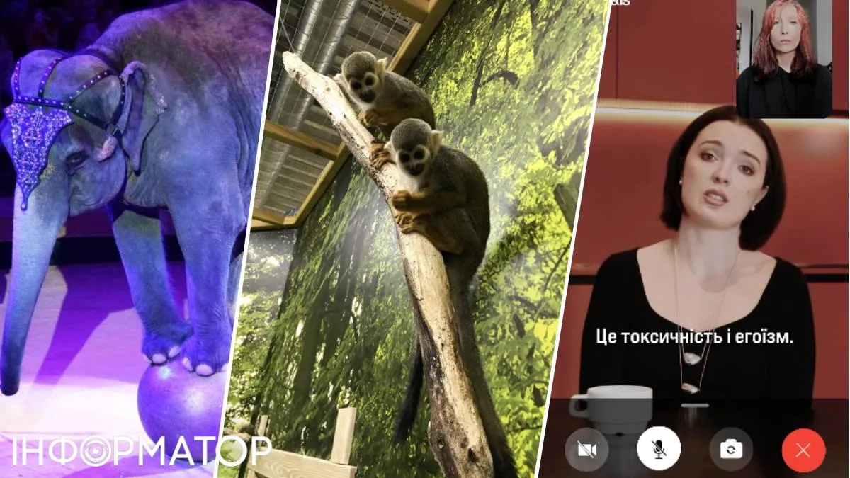 Тварини контактний зоопарк мавпочки слон