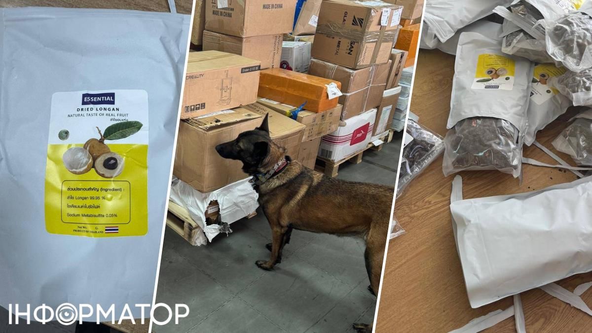 Собака Нора сушені фрукти наркотики