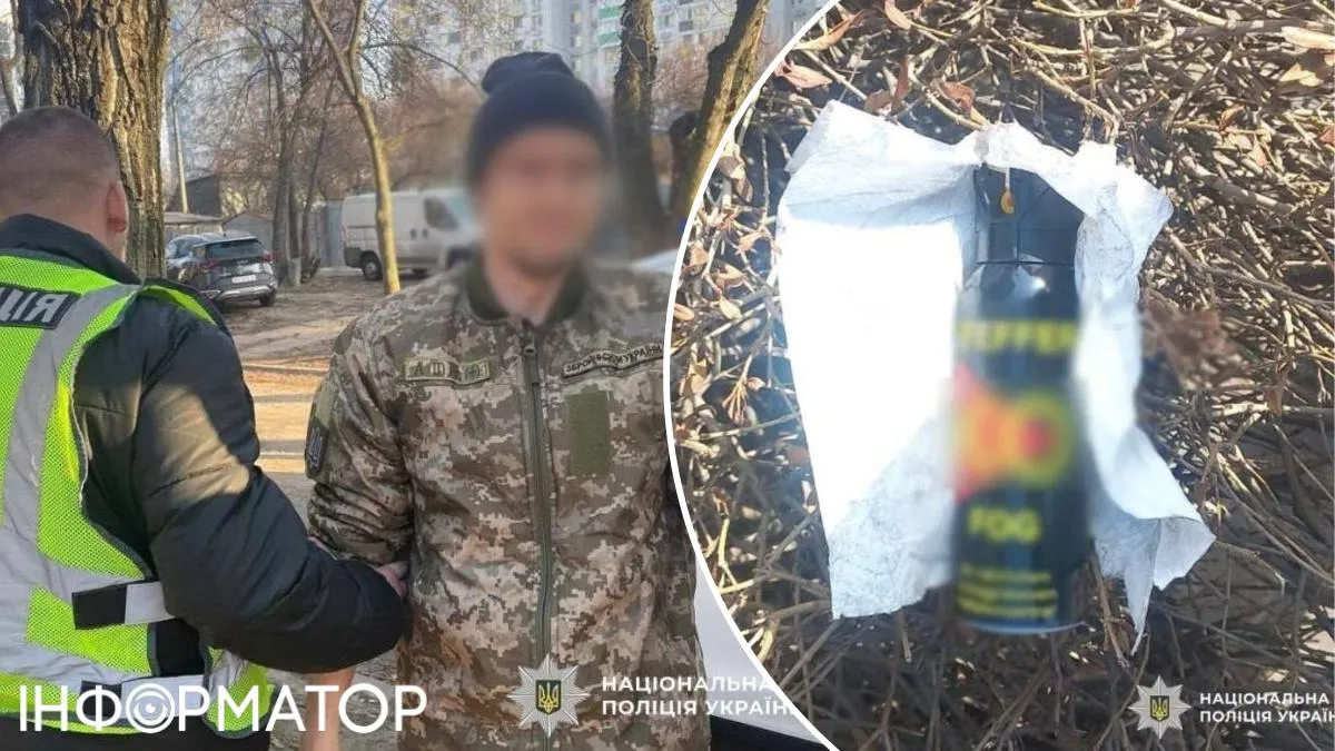 поліція затримання