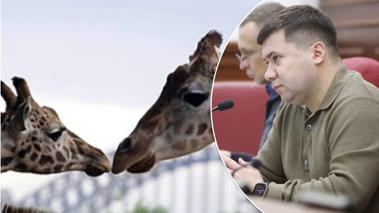 Вітренко вдарив по Кличку мертвою жирафою - зоопарк пояснив, що та пішла ще три роки тому