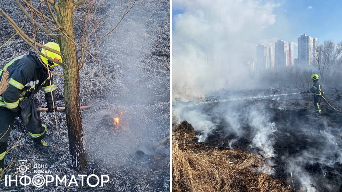 Пожарным приходится тратить время на возгорание травы, в то время как они могли бы сосредоточиться на более важных задачах, говорят в ГСЧС.
