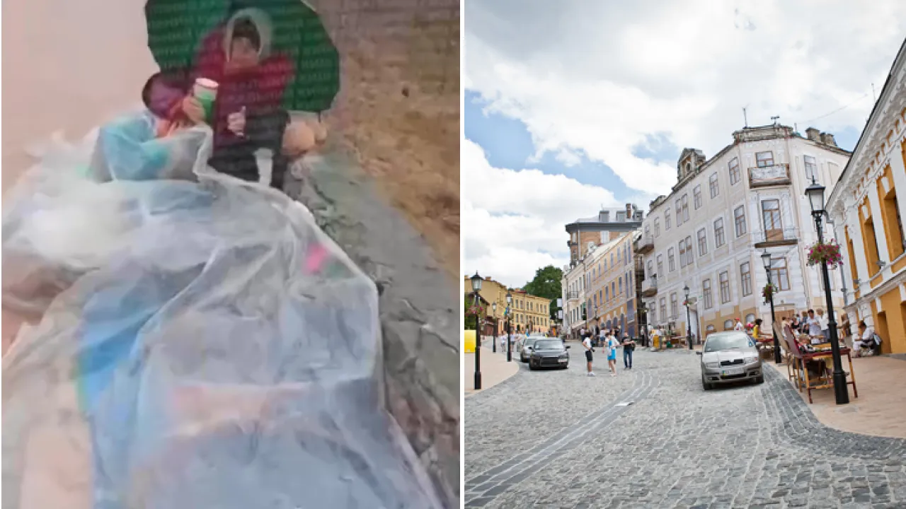 собаки під целофаном