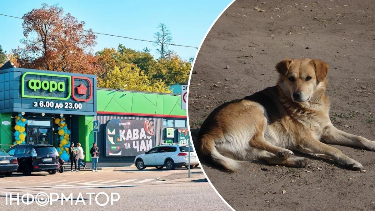 Охоронець маркету Фора у Гостомелі забив собаку Тігру металевою палицею до смерті: керівництво його захищає