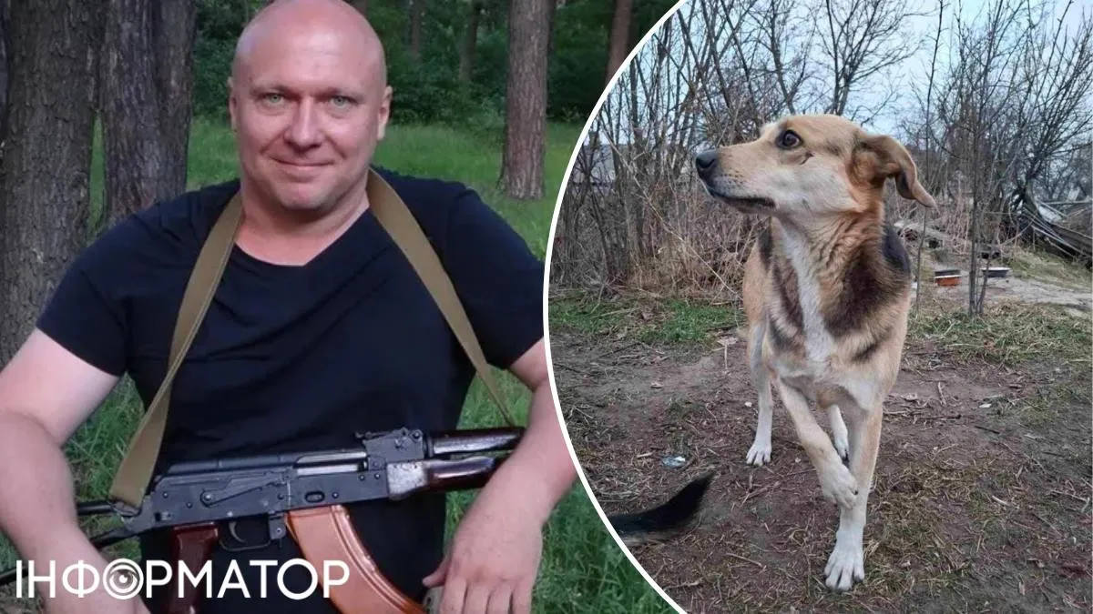 Закликав "зачищати" безпритульних тварин, як Тігру: догхантер Святогор виступив на захист Фори