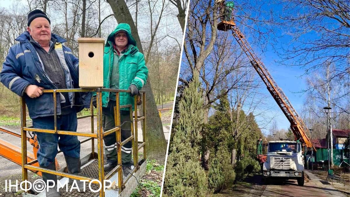 Шпаківні дерева парк