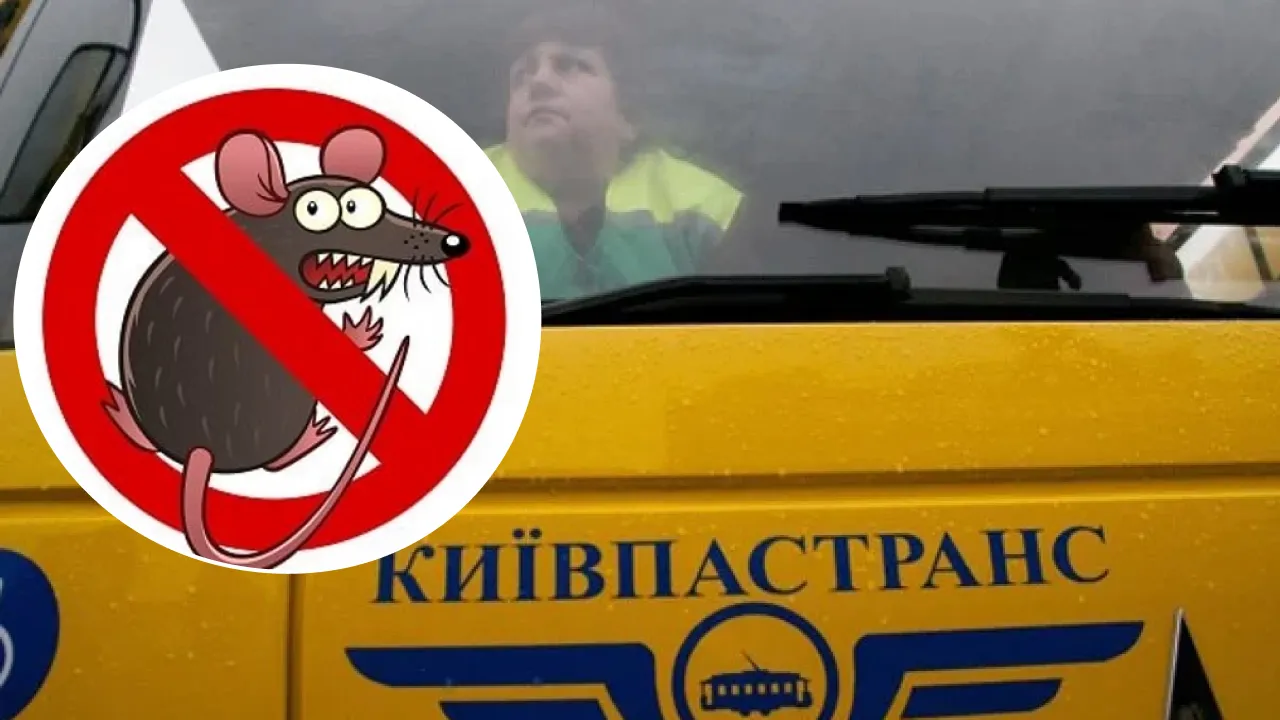 Київпастранс дератизація тендер