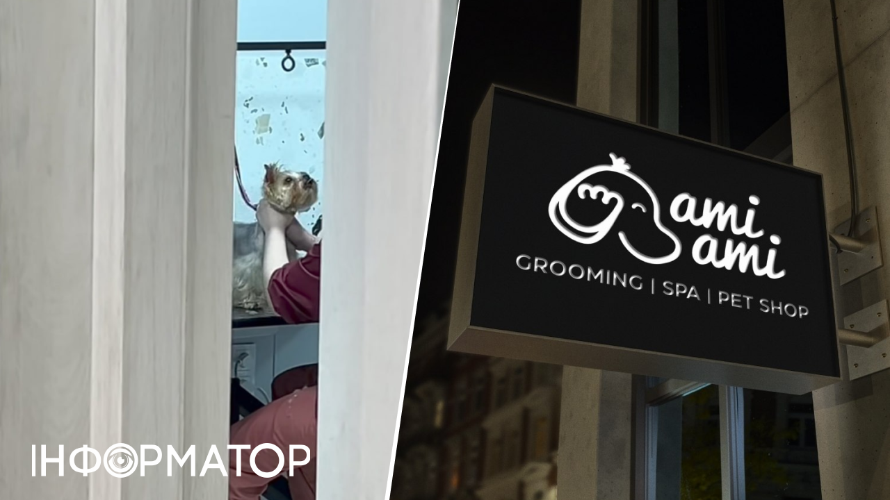 Немного придержали собаку, а ажиотаж такой, будто ее убили - груминг-салон об издевательствах с той-терьера