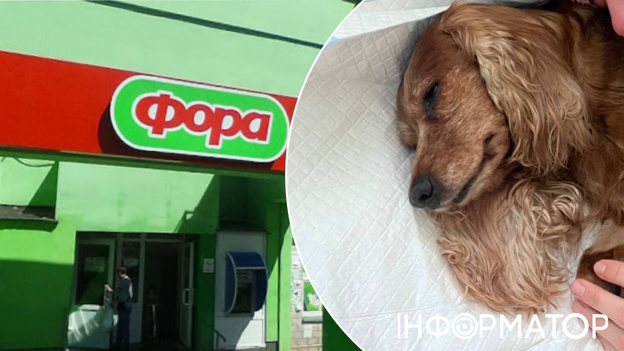 Оскаженіти! Біля Фори на Троєщині труять собак: магазин знову в епіцентрі скандалу