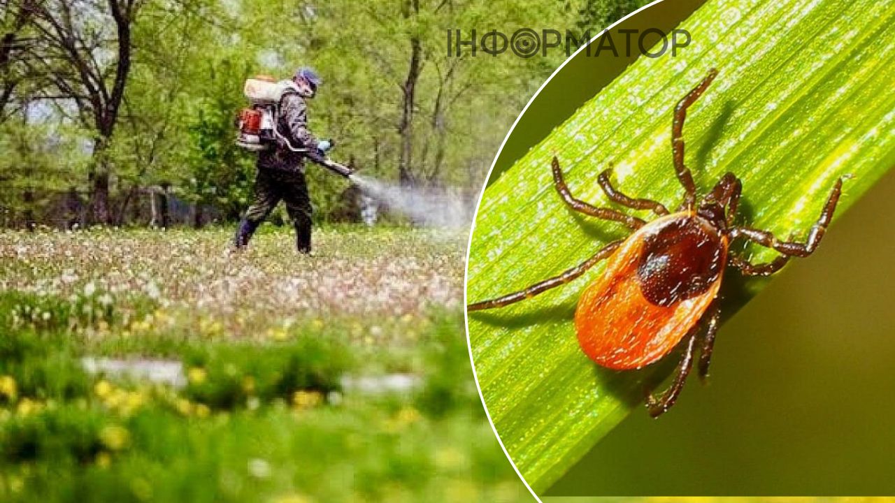 парк Кіото кліщі