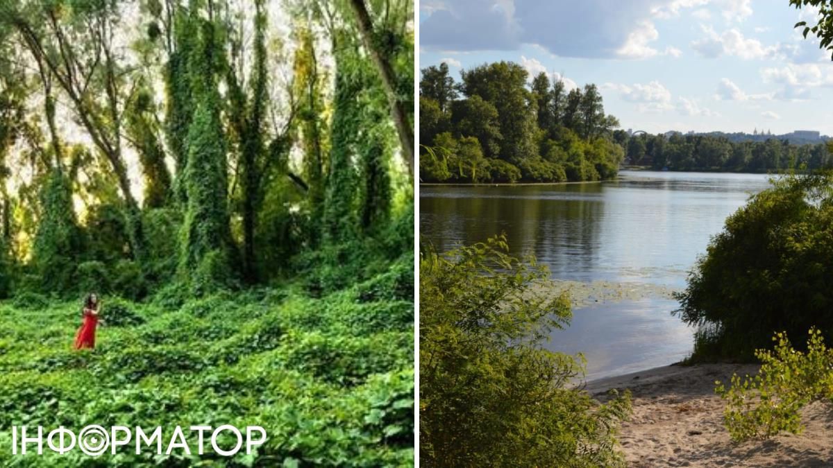 Горбачиха є дикою й мальовничою територією, цікавою для забудовників