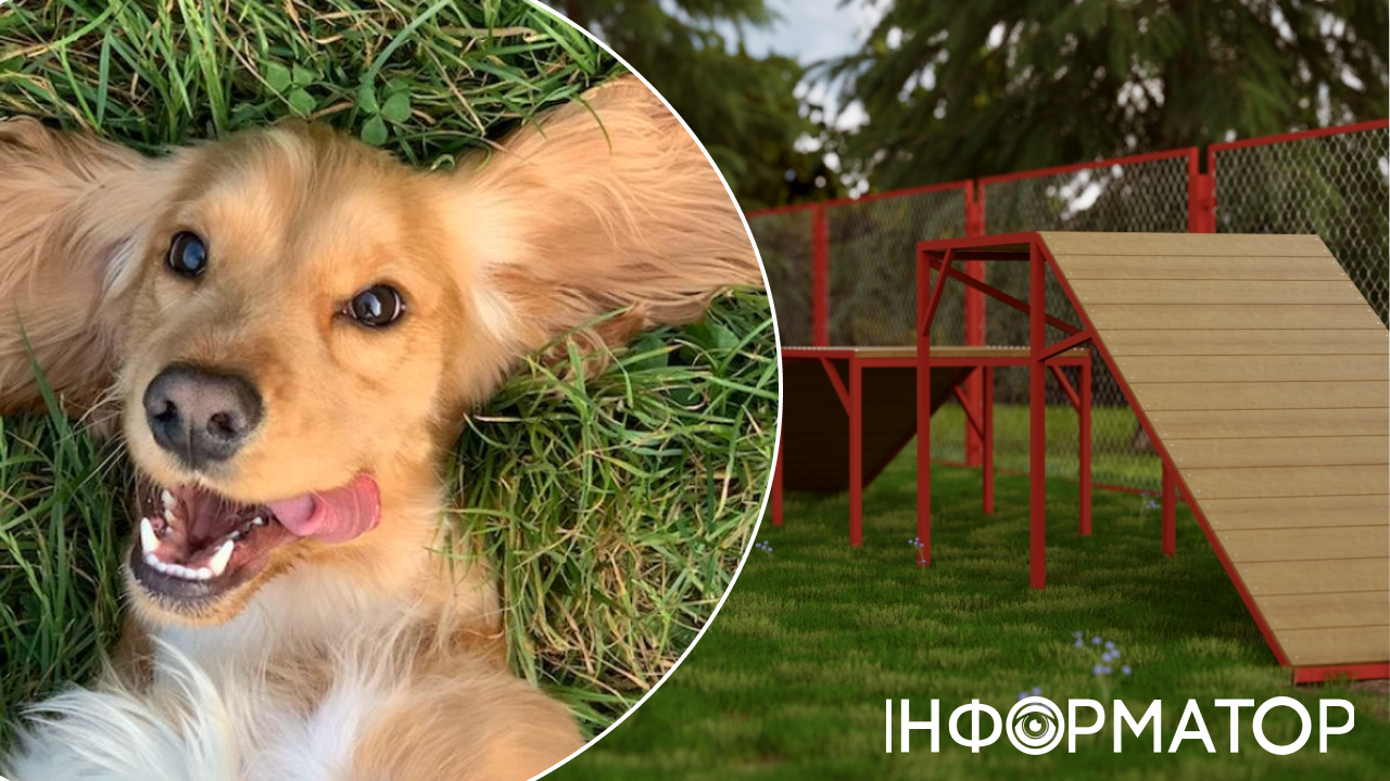 У Києві створили пет-френдлі мапу: на ній вже 450 кафе й майданчиків для вигулу