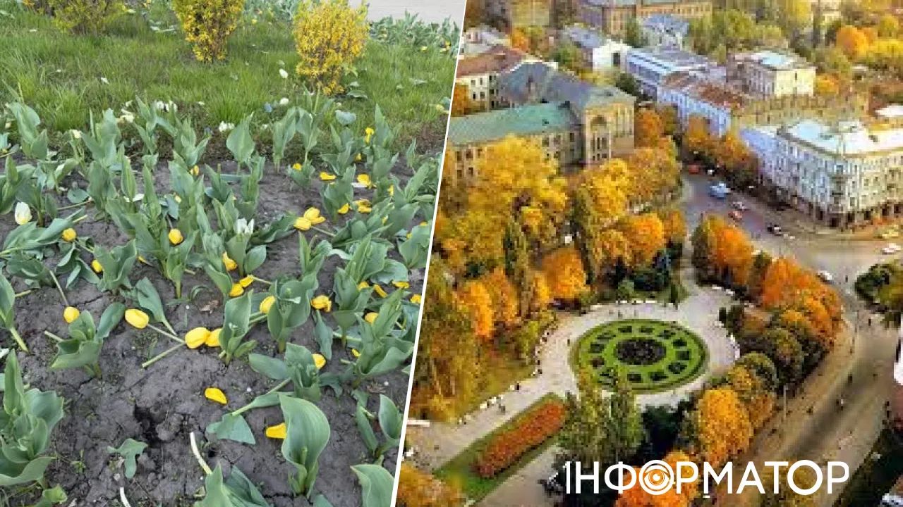 Львовская площадь цветы
