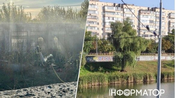Поджог ради развлечения: в Киеве двое школьников вызвали пожар у озера