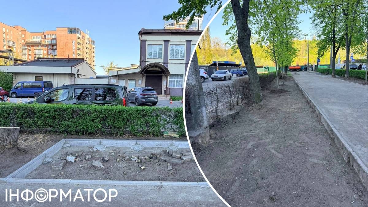 На фото зліва видно пеньок від дерева: судячи з нього - рослина була здоровою