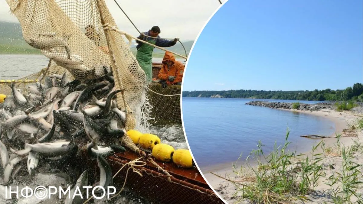 Вылов рыбы Киевское море