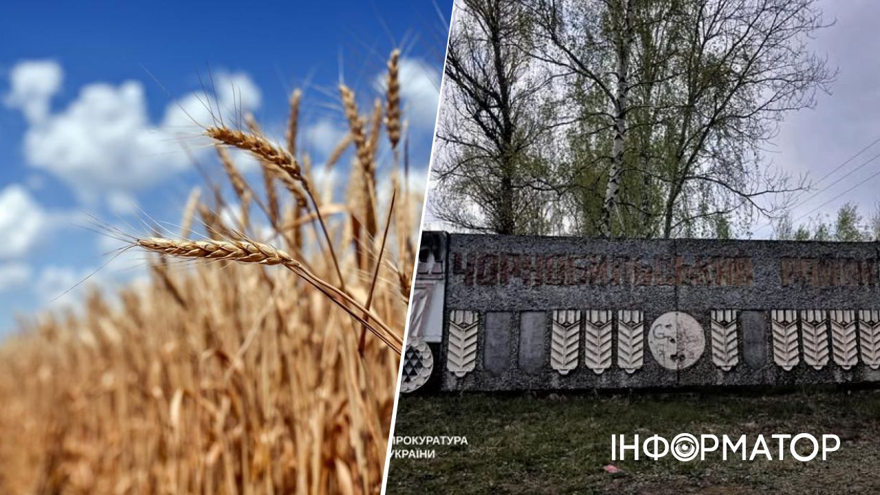 Годували радіоактивним зерном: у Зоні відчудження роками не помічали 190 га фермерських угідь. Фото: Офіс генерального прокурора