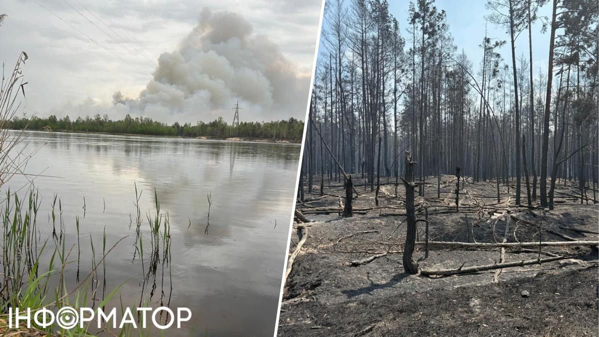 Пожар Зона отчуждения ЧАЭС
