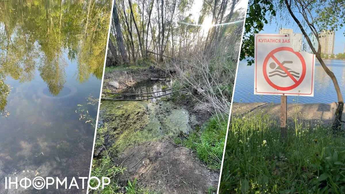 Попри весну й те, що вода у Небрежі ще не встигла прогрітися, плесо вже почало цвісти - це могло статися через потрапляння у озеро каналізаційних стоків