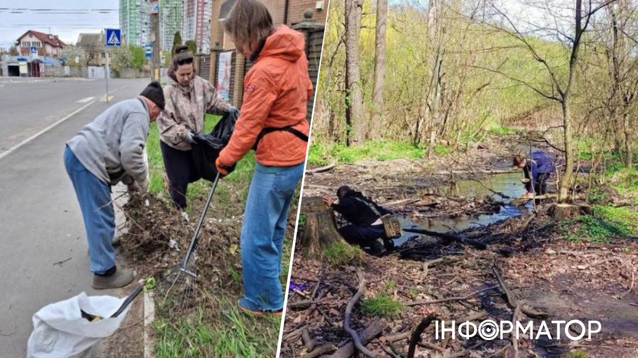 В Киеве стартовало финальное голосование за любимца столицы