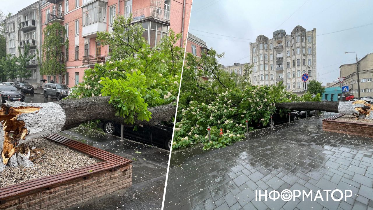 Это хлопнуло - на Подоле, возле Музея Чернобыль, огромный каштан разбил четыре автомобиля