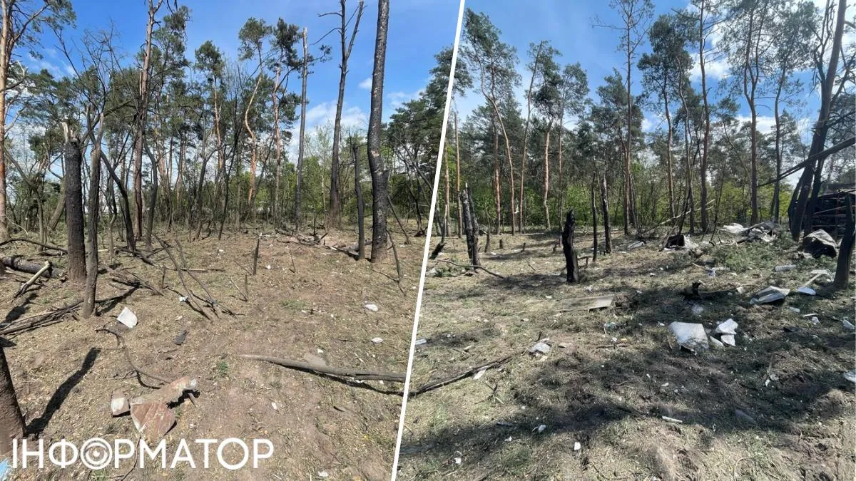 Також вигорів ліс, розташований просто за АЗС: дерева ніби акуратно "зрізало" вибухом
