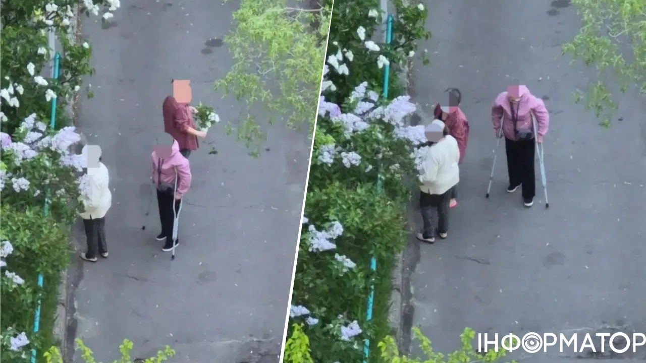 Бабусь оштрафували на 4 тисячі за те, що рвали бузок - кияни співчувають пенсіонеркам