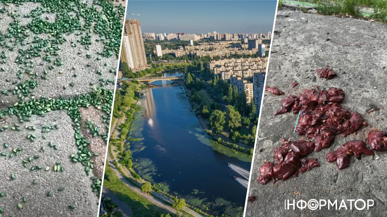 отруєння собак Русанівський канал