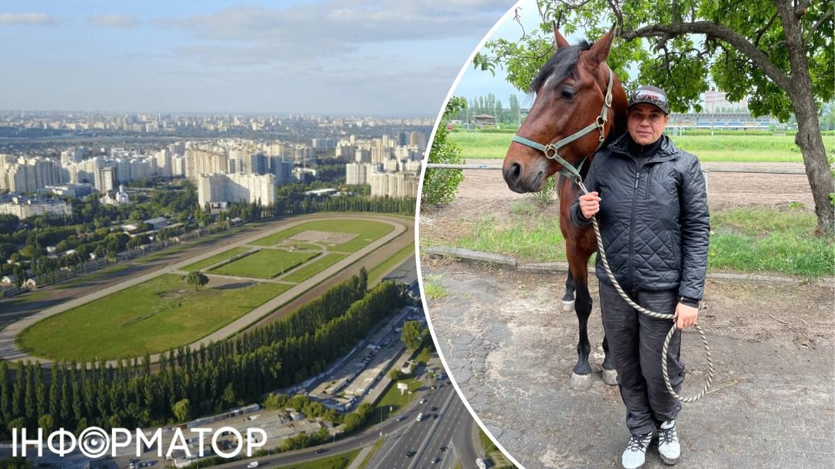 ипподром лошади гонки спорт