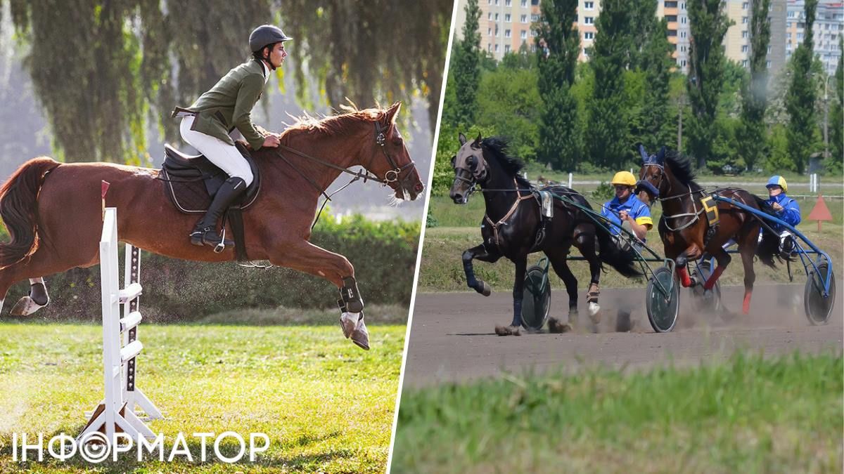 Профессия наездника - "искусственная", таких специалистов в Украине нигде не учат - потому-то они очень ценны. Фото: Киевский ипподром