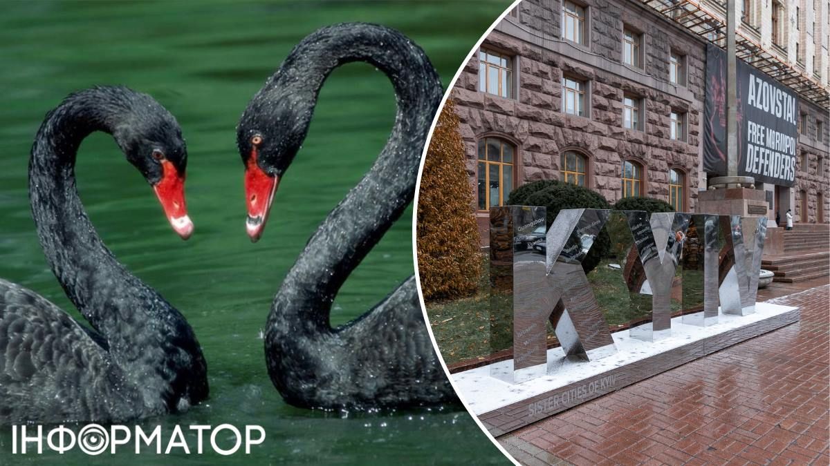 Над Хрещатиком пурхають чорні лебеді - як і навіщо шиють кримінал керівникам Києва