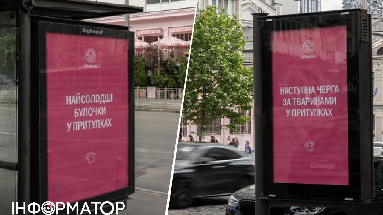 Самые сладкие булочки в приютах – зооактивисты потролили сладкоежек из ресторана Namelaka в Киеве