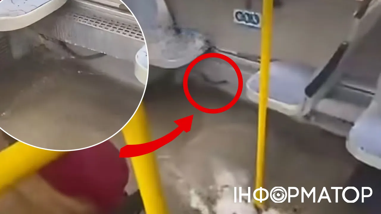 Киевпасстран