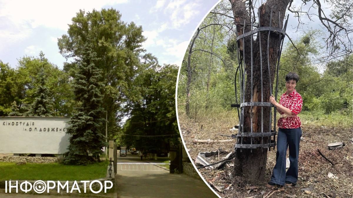 На кіностудії Довженка уламок паркану від вибуху обійняв дерево - його залишать, як символ
