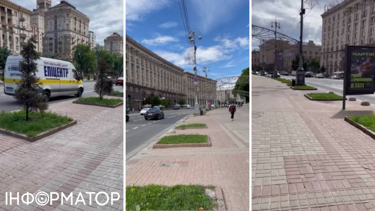 Крещатик клумбы под каштаны