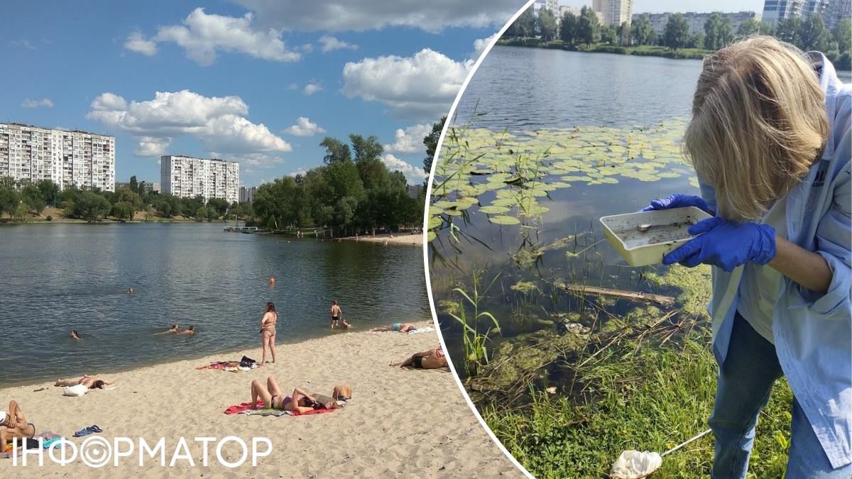 комары водоема