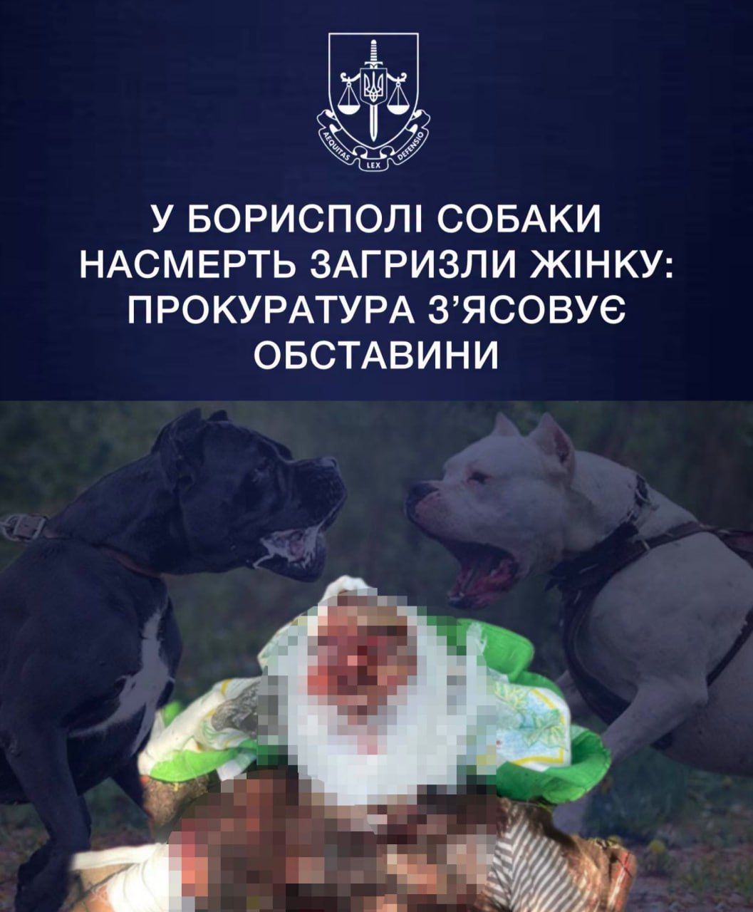 источник: Киевская областная прокуратура