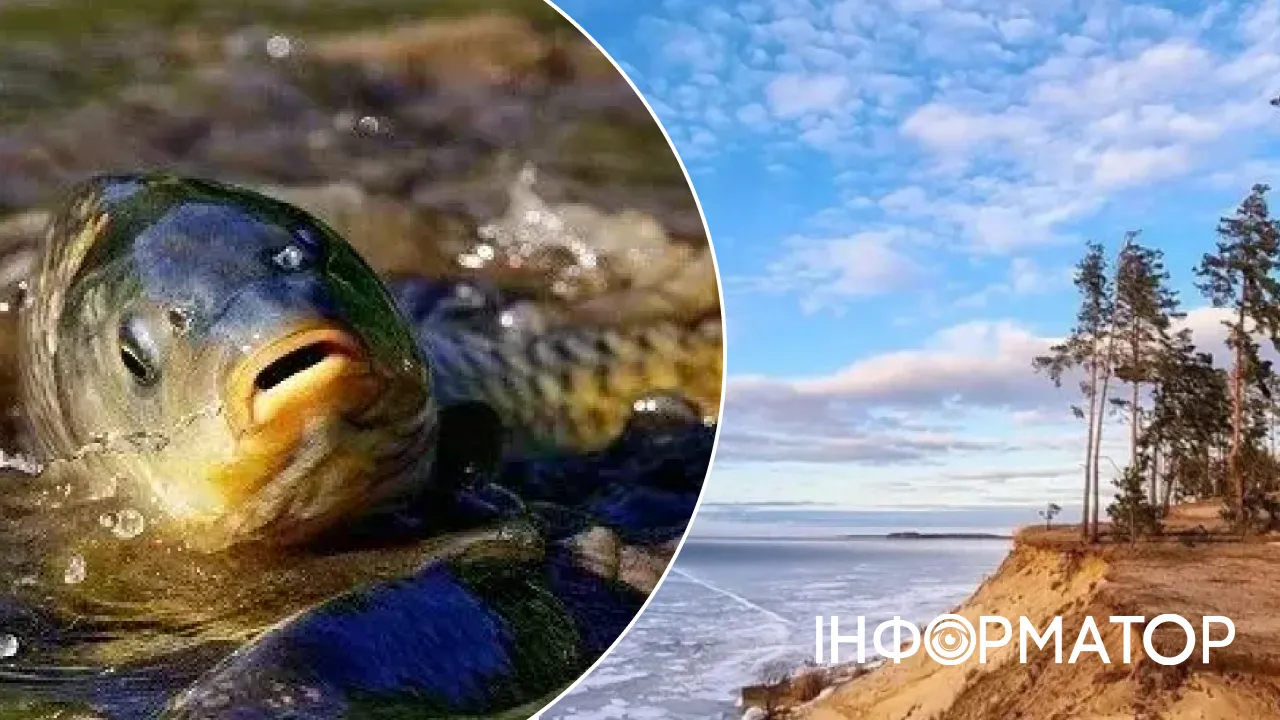 На Київському морі завершилася нерестова заборона на риболовлю