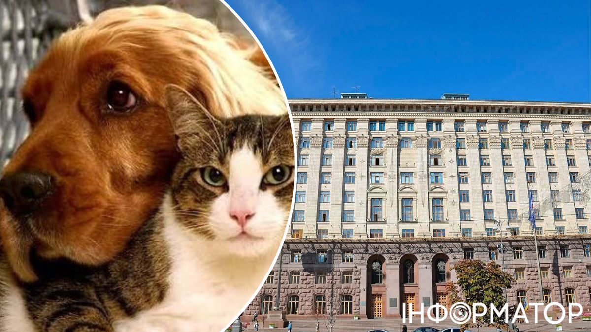 правила содержания животных