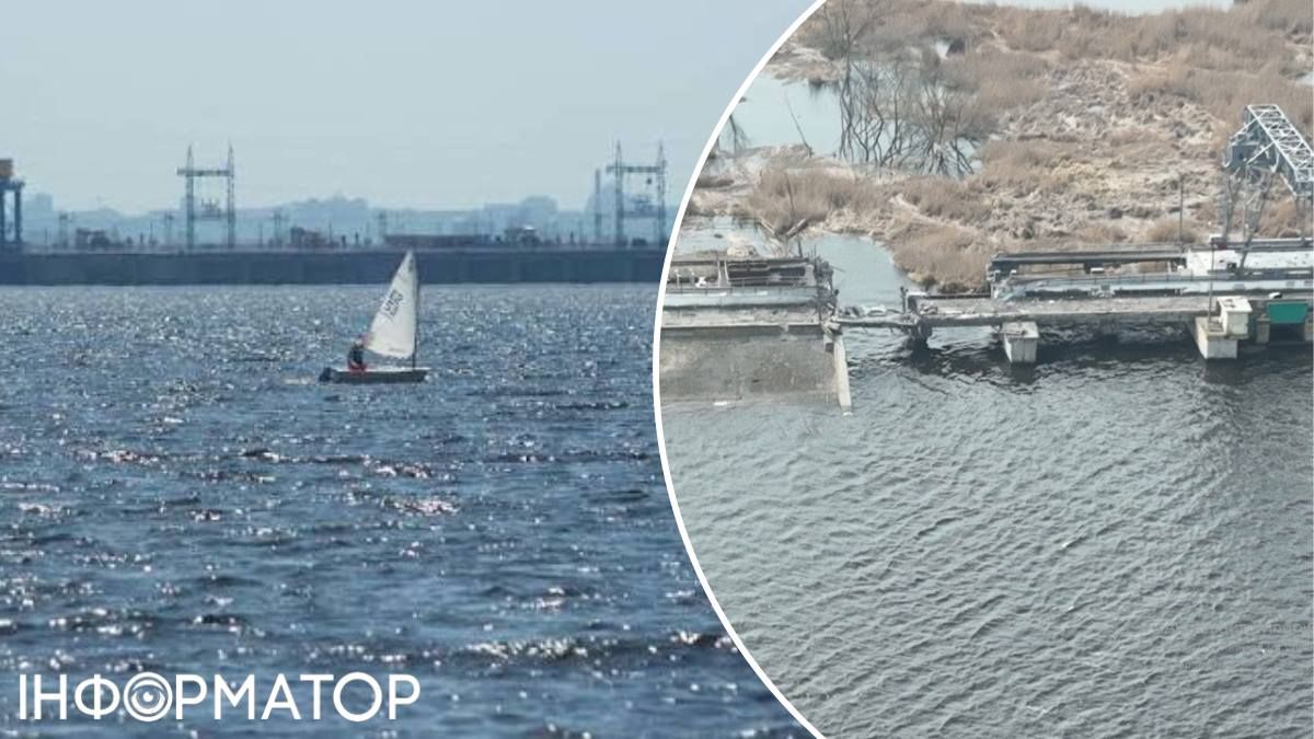 Через війну в Київському морі в три рази побільшало токсинів - це вбиває рибу та отруює воду