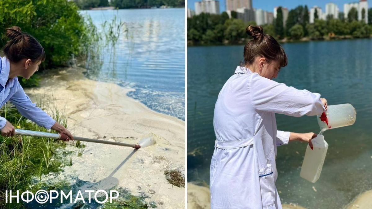 Экологи принялись исследовать странную пену на озере. Фото: КП "Плесо"