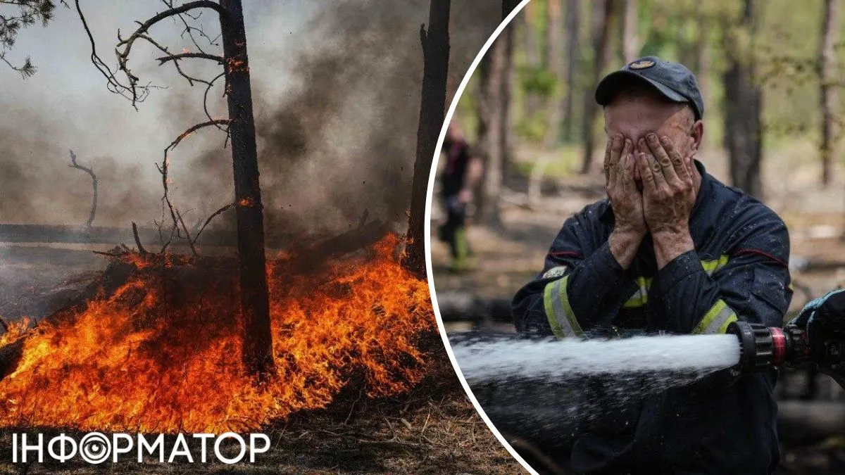 пожар Чернобыль лес