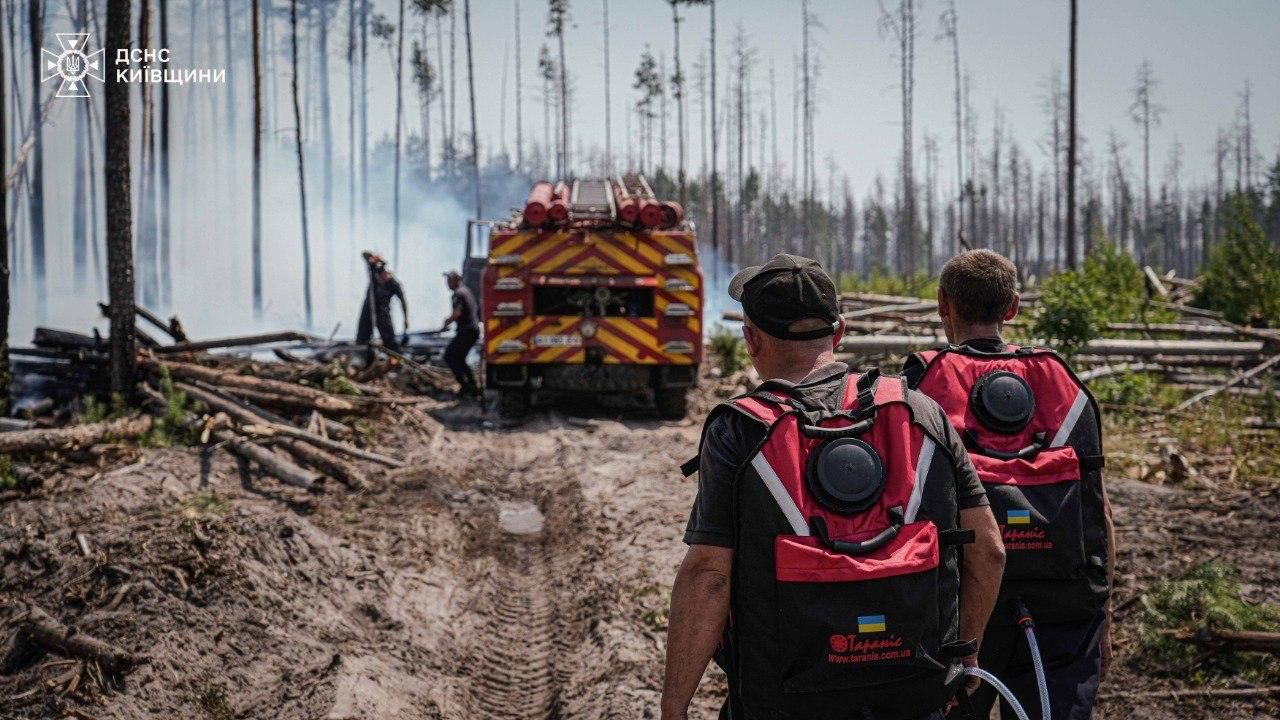 Ликвидация огня. Фото: ГСЧС